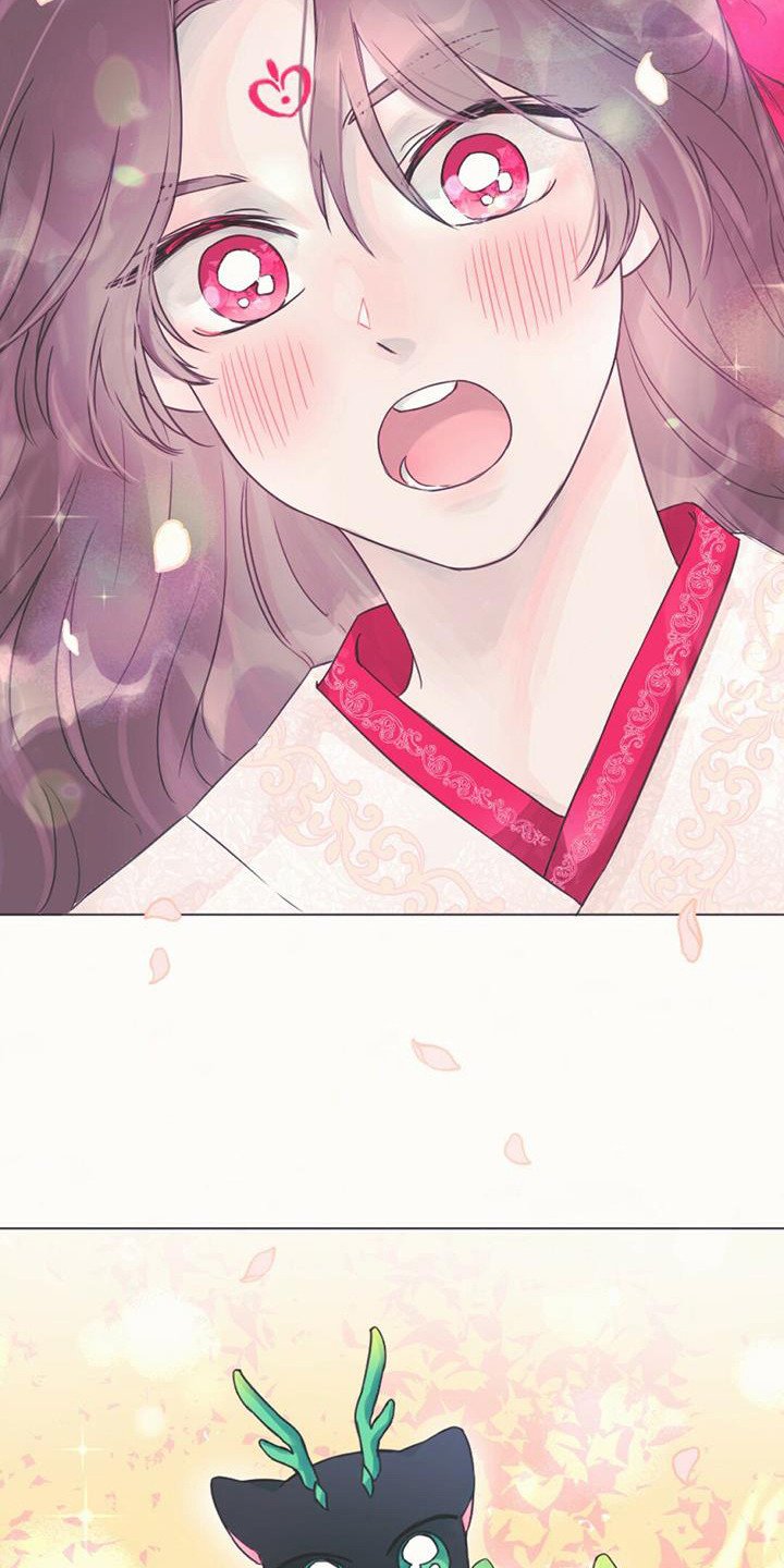 第1章：幼龙