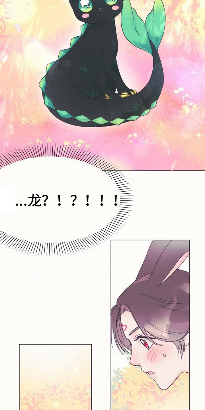 第1章：幼龙