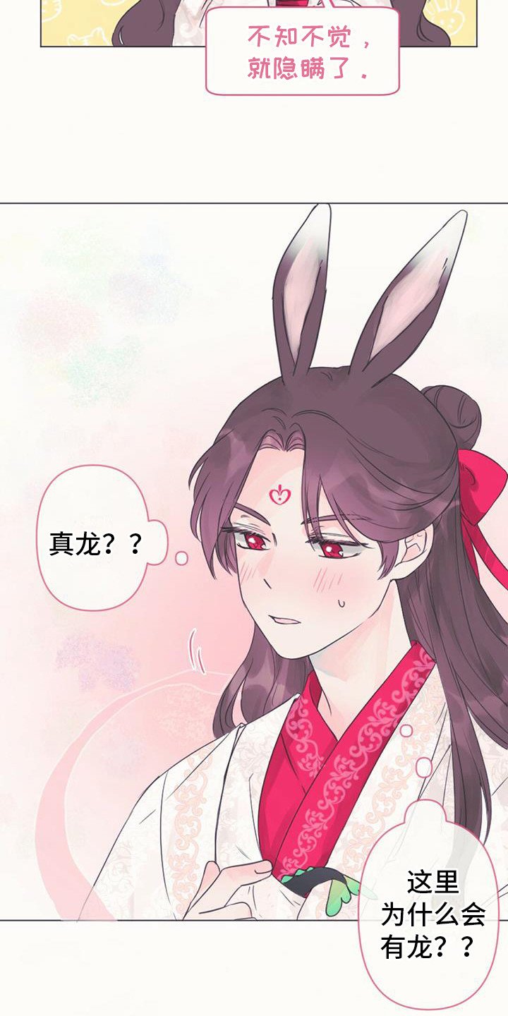 第1章：幼龙