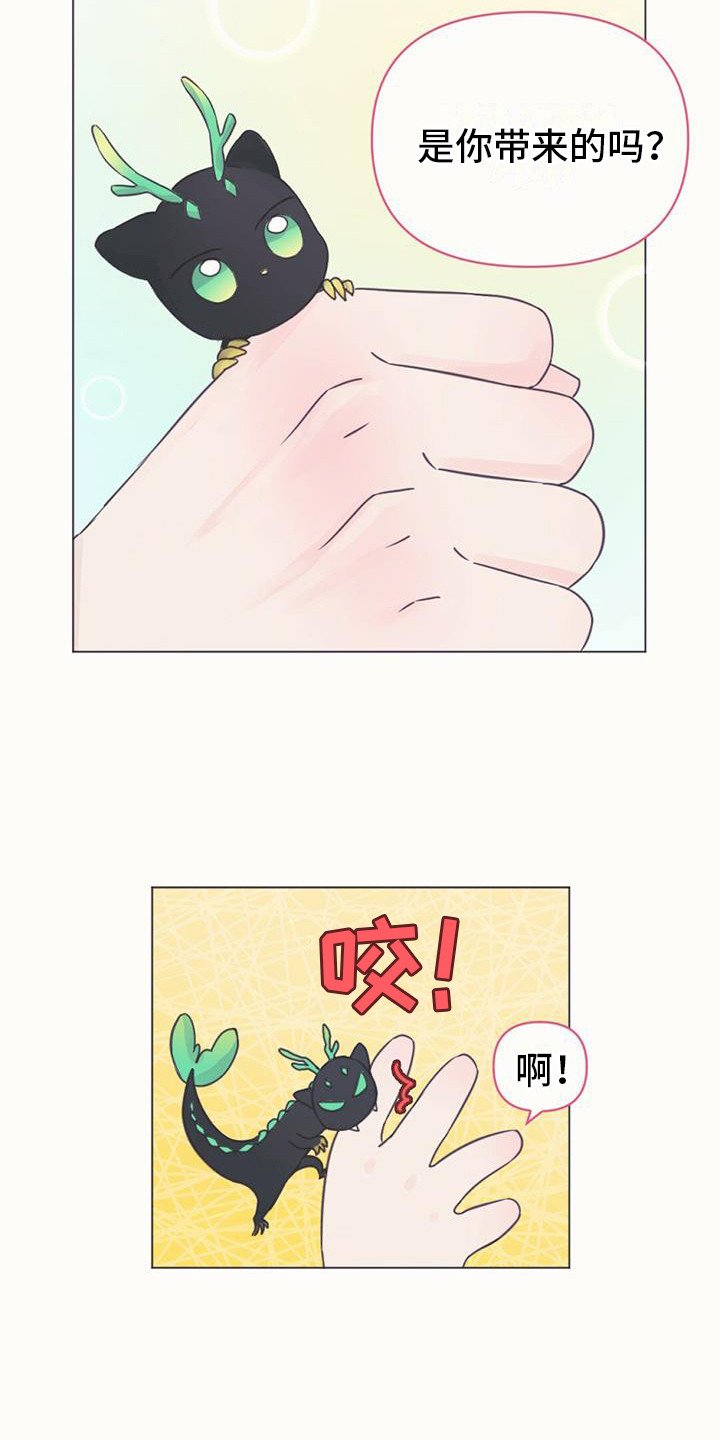 第1章：幼龙
