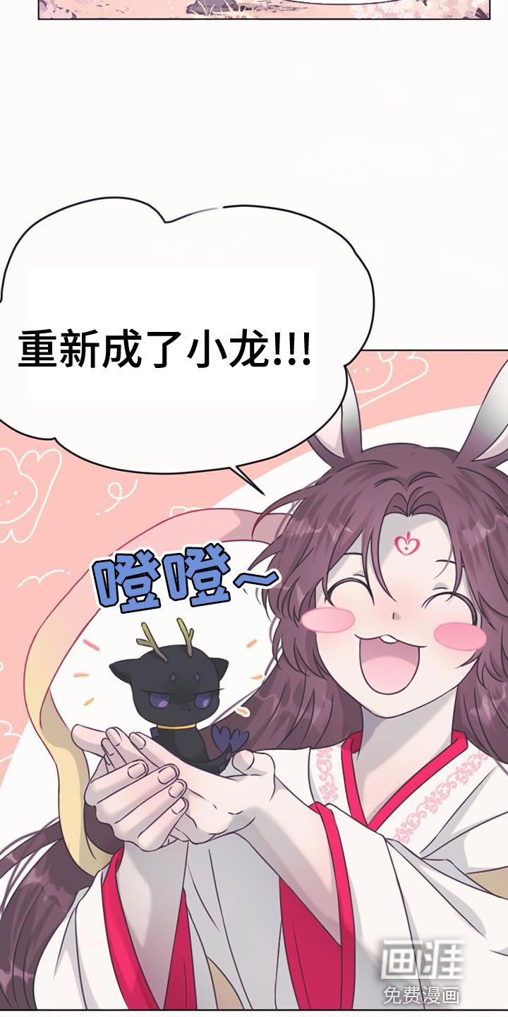第100章：我的龙【完结】