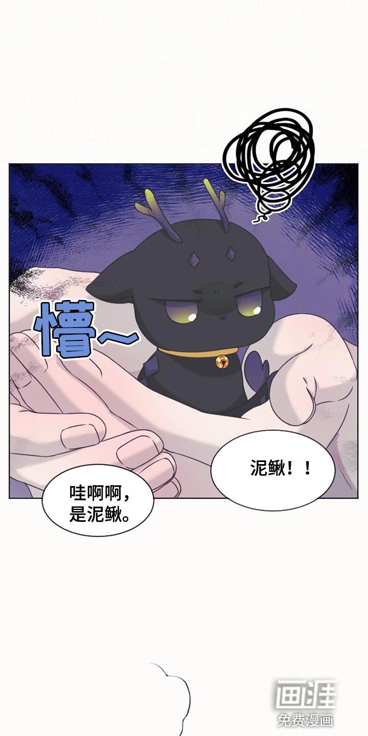 第100章：我的龙【完结】