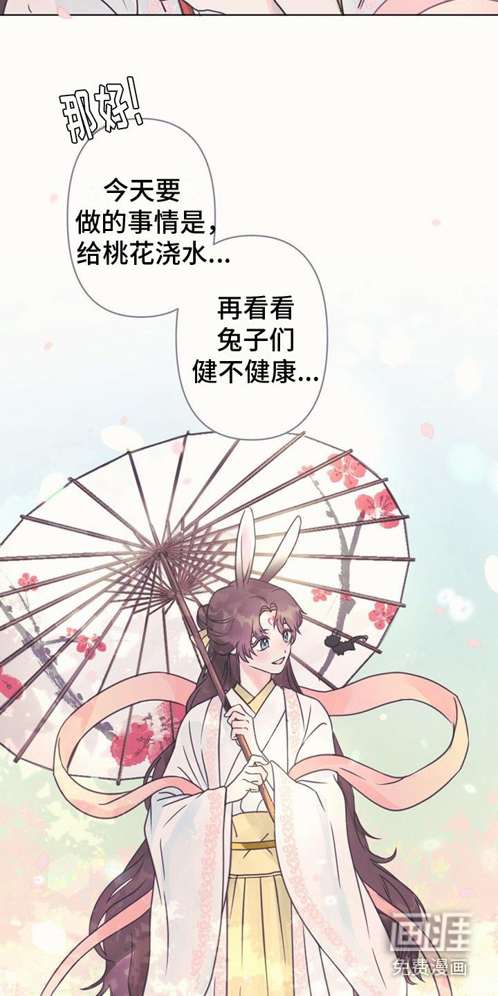 第11章：装可爱