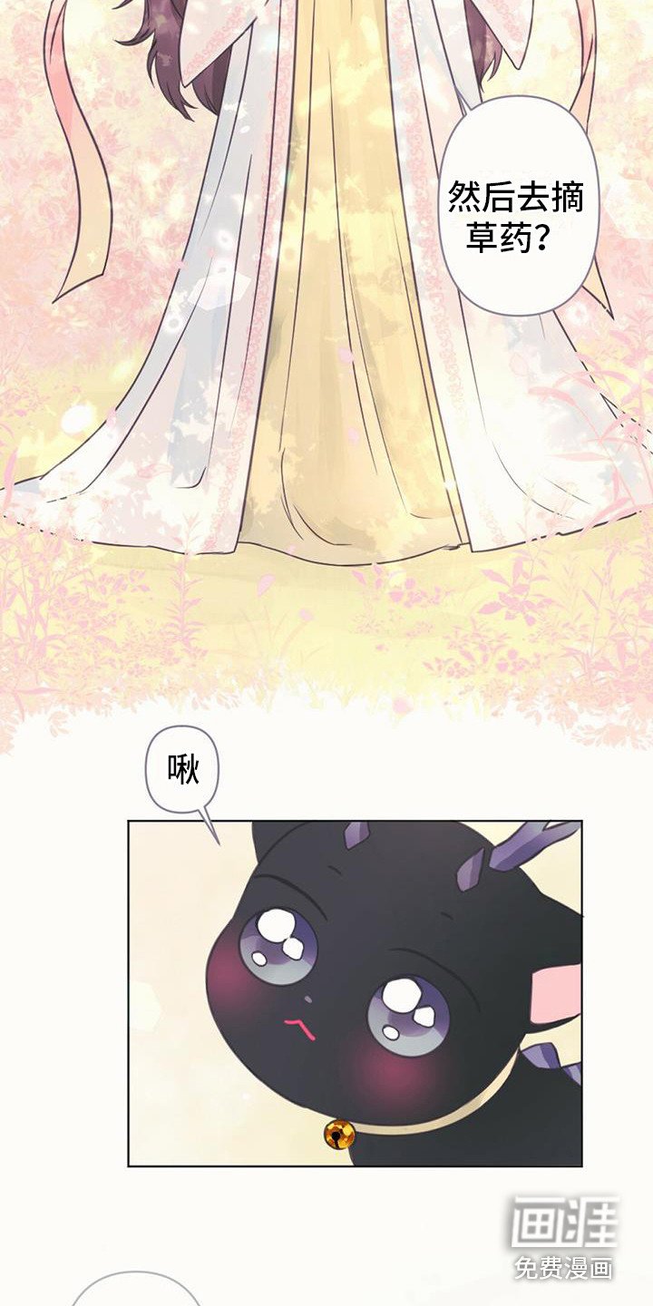 第11章：装可爱