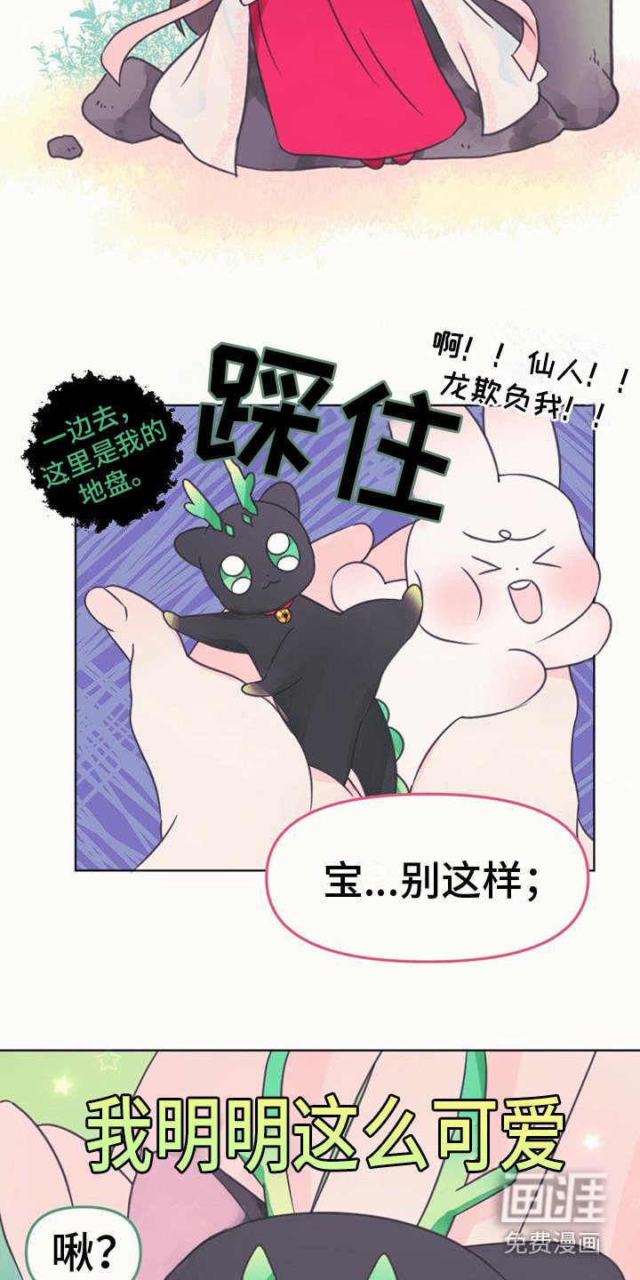 第11章：装可爱