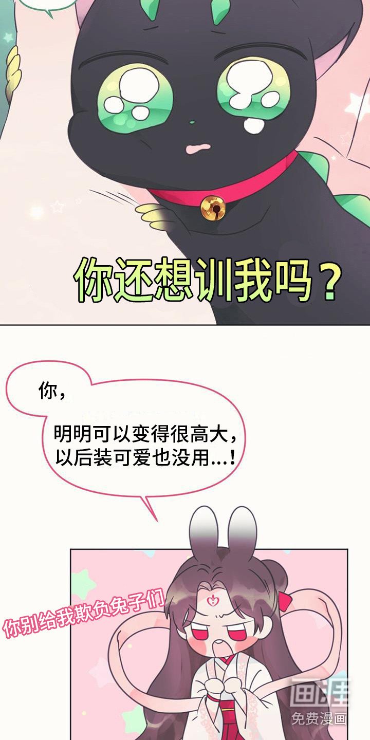 第11章：装可爱