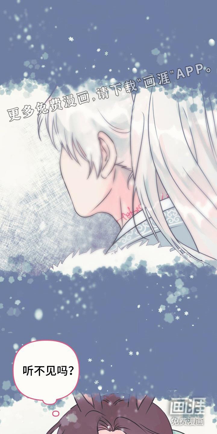 第13章：相似的人