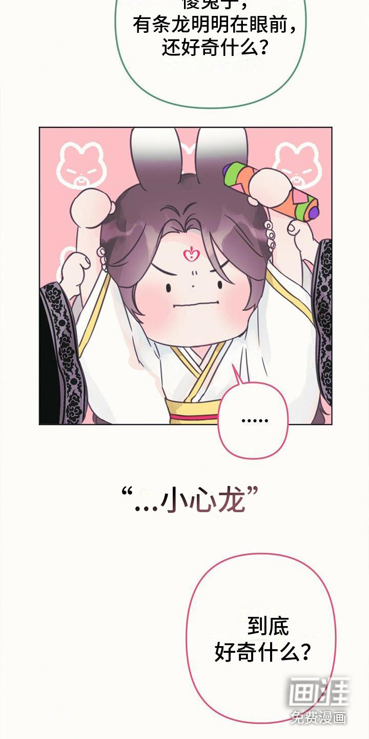 第13章：相似的人