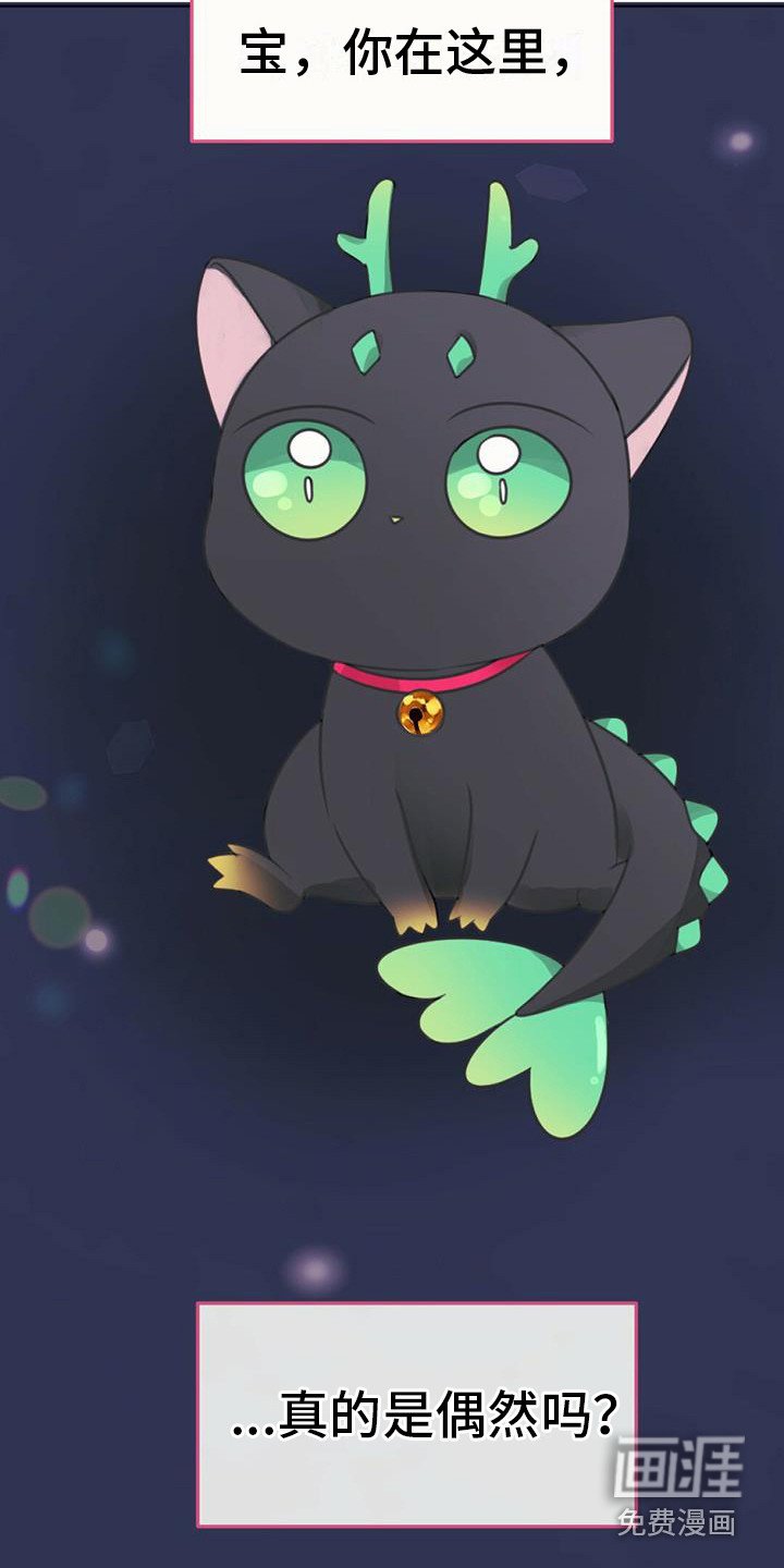 第14章：好奇