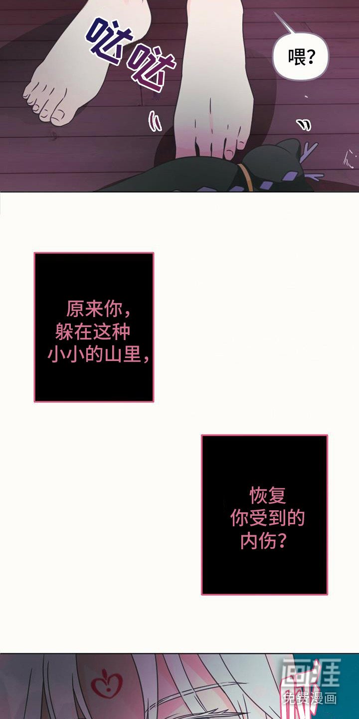 第16章：倒下