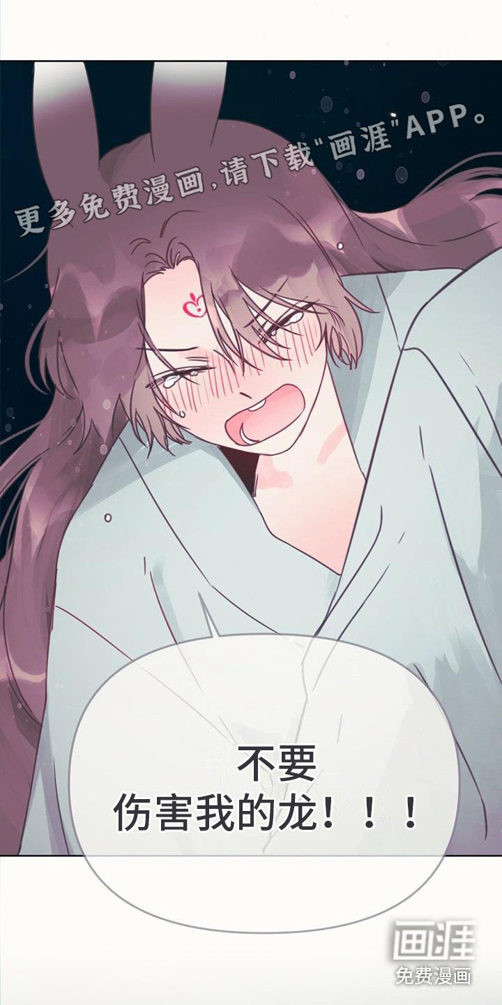 第17章：交换信息