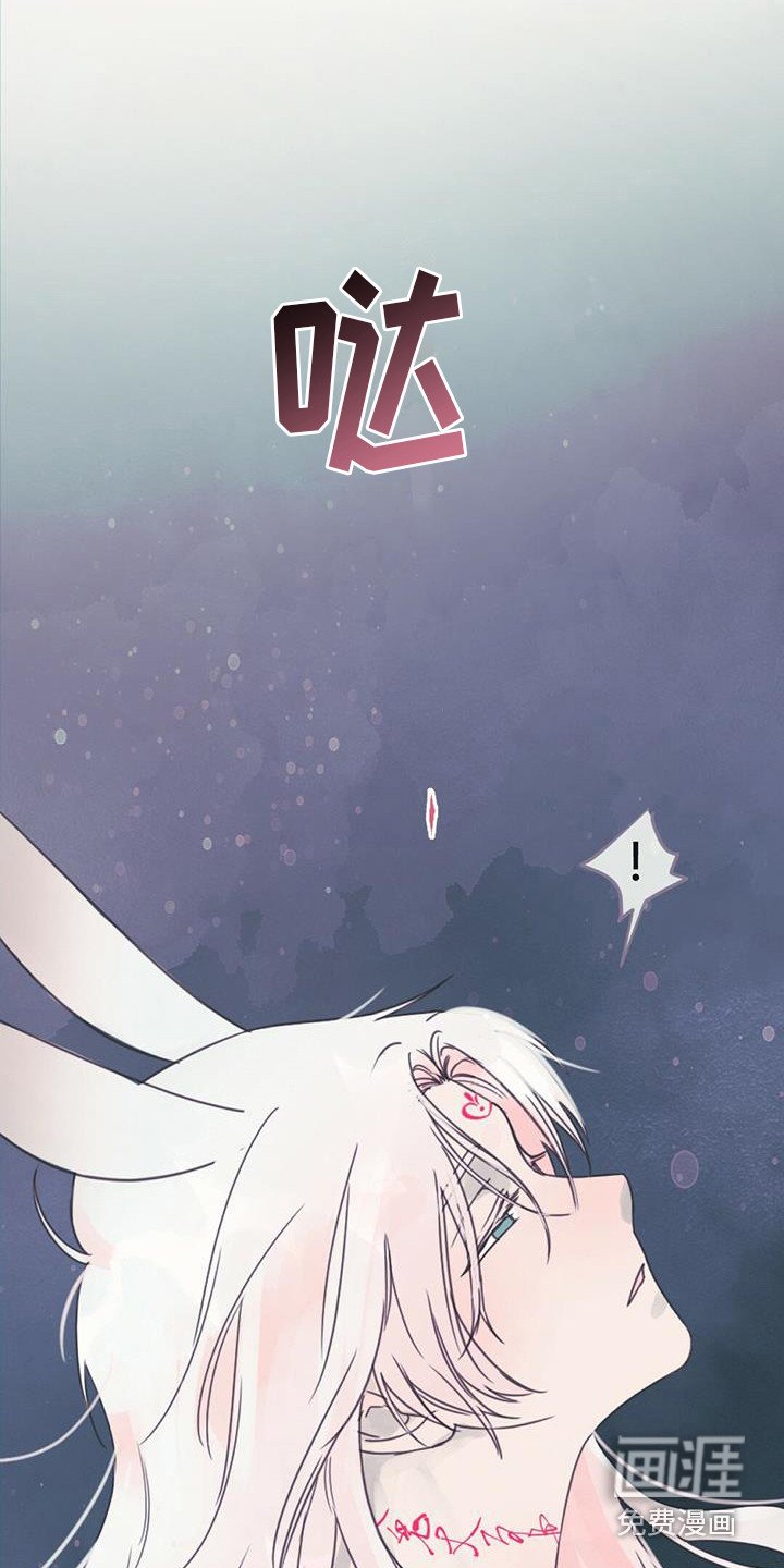 第17章：交换信息
