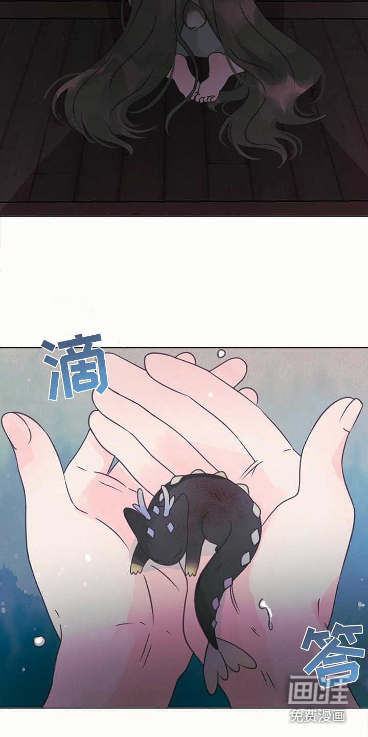 第17章：交换信息