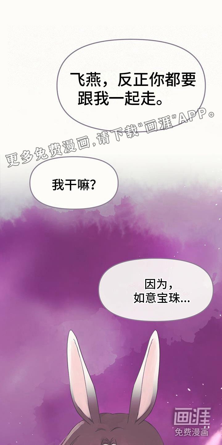 第19章：如意珠