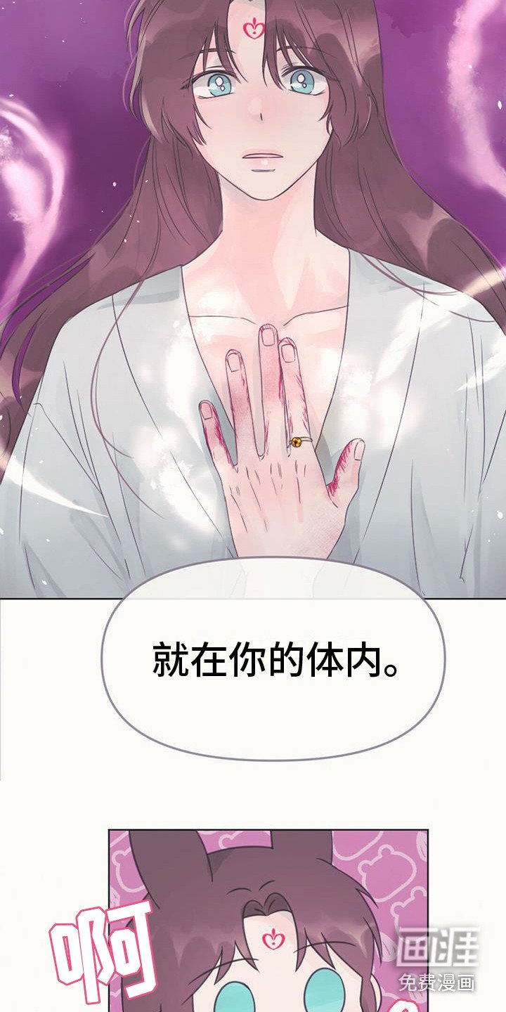第19章：如意珠