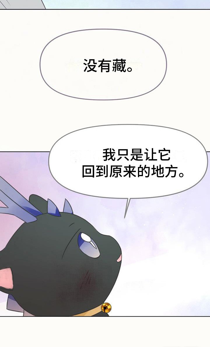 第19章：如意珠