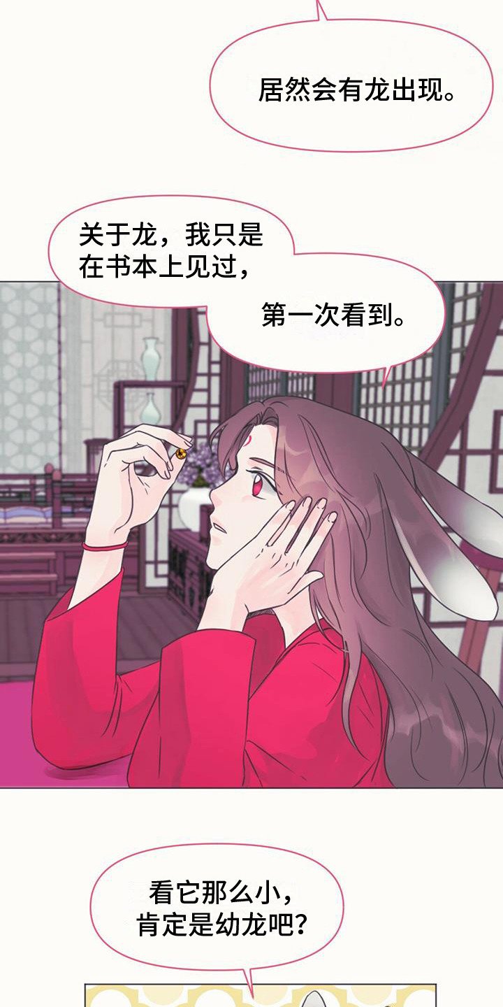 第2章：取名