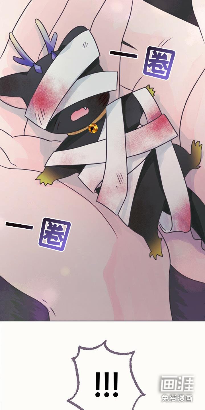 第20章：求助