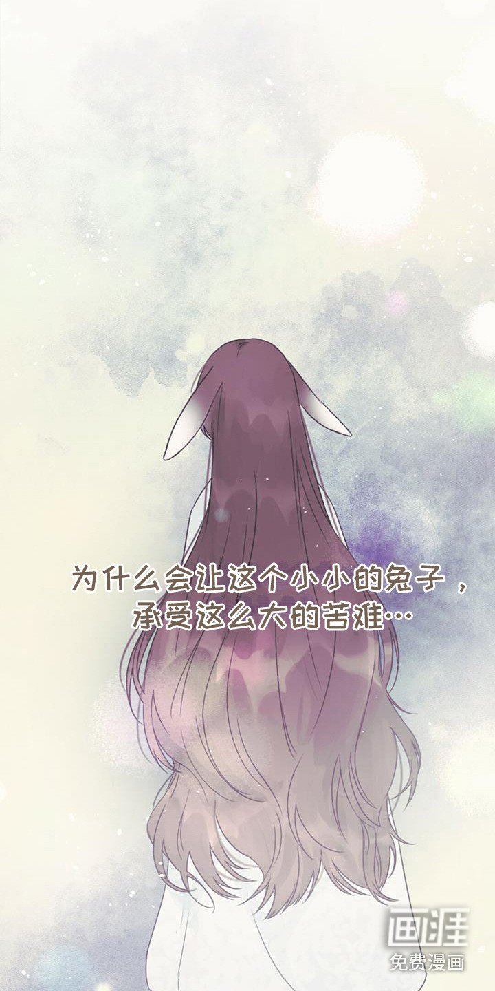 第21章：查找资料