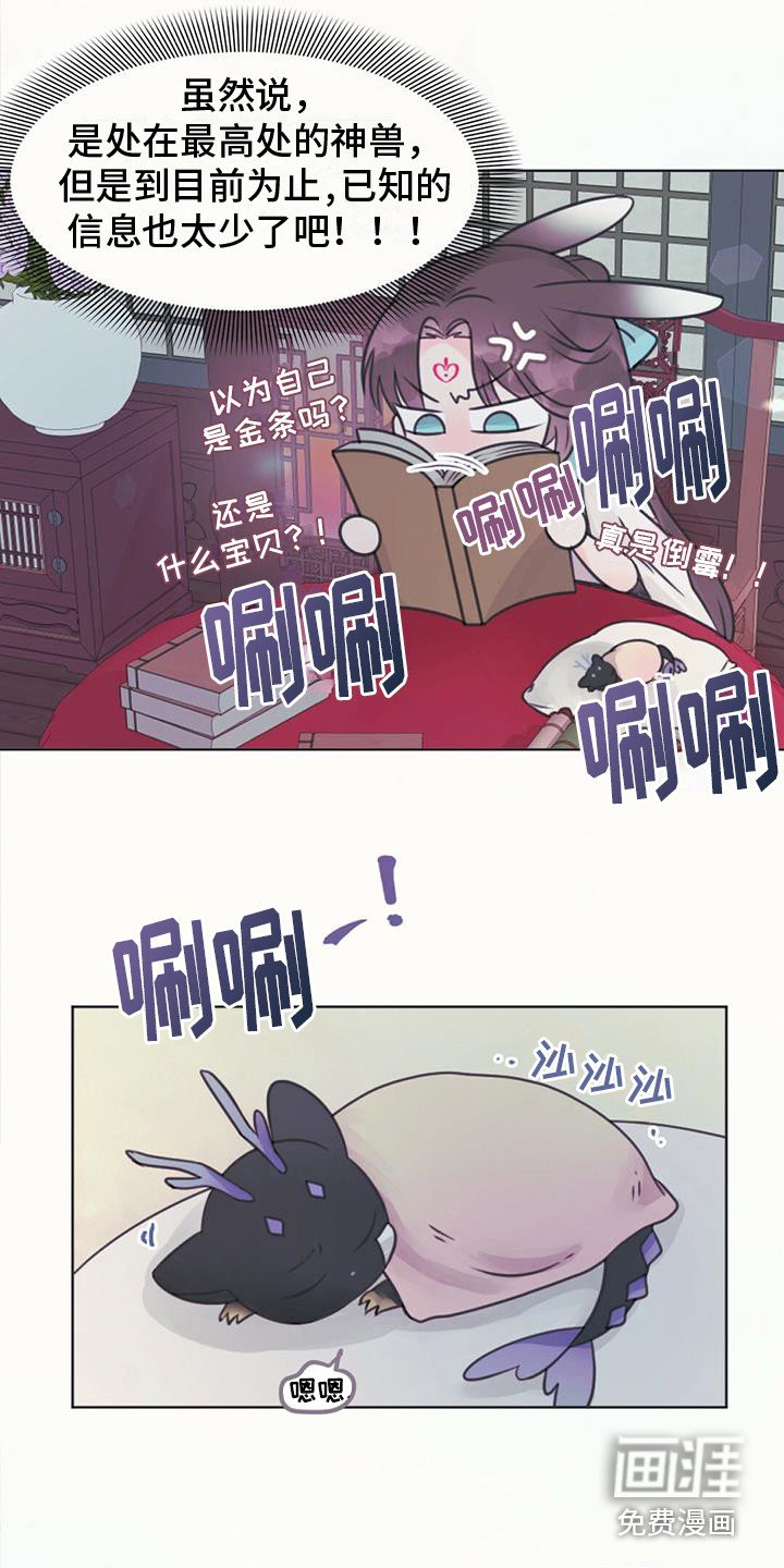 第21章：查找资料