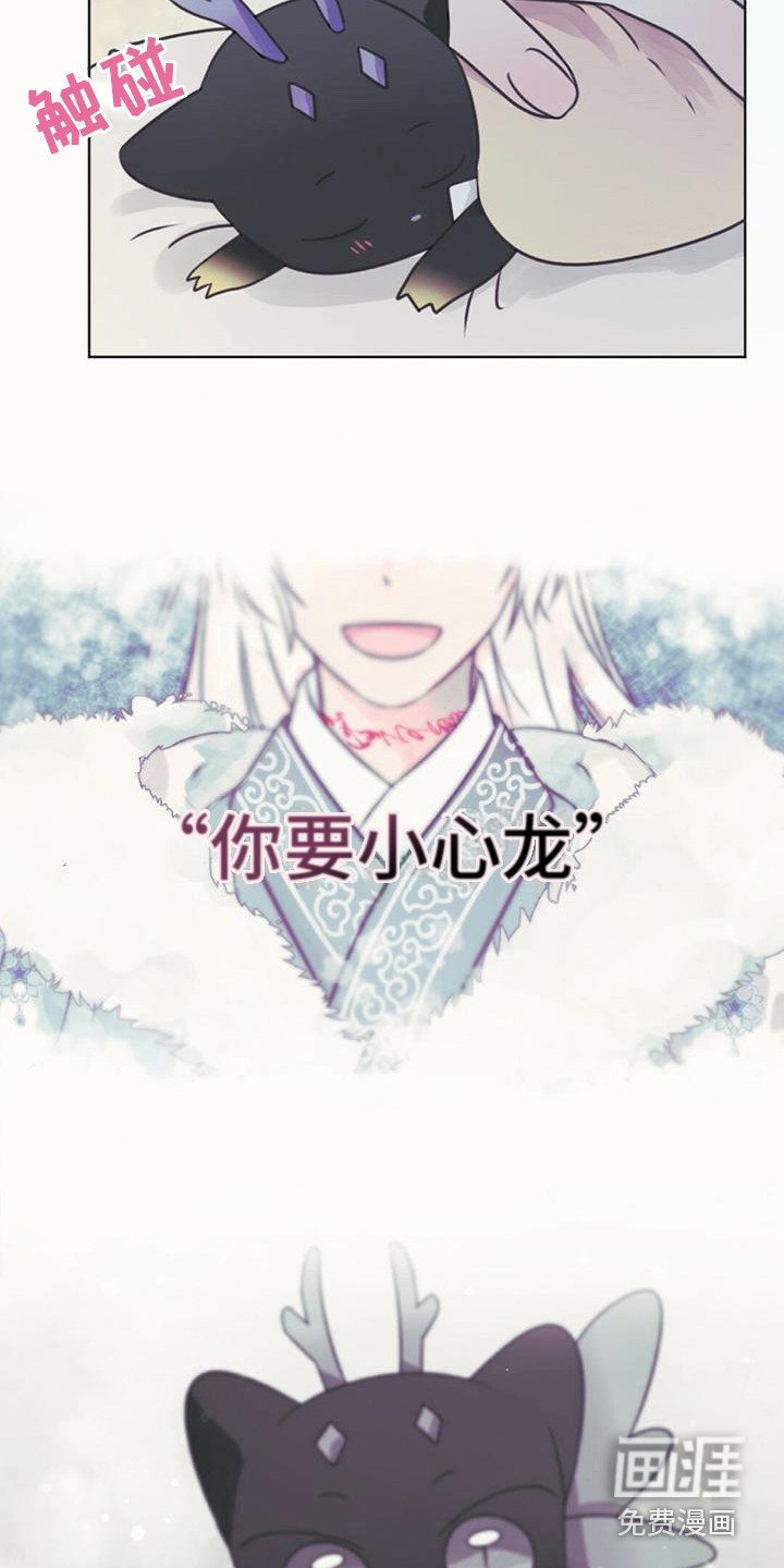 第21章：查找资料