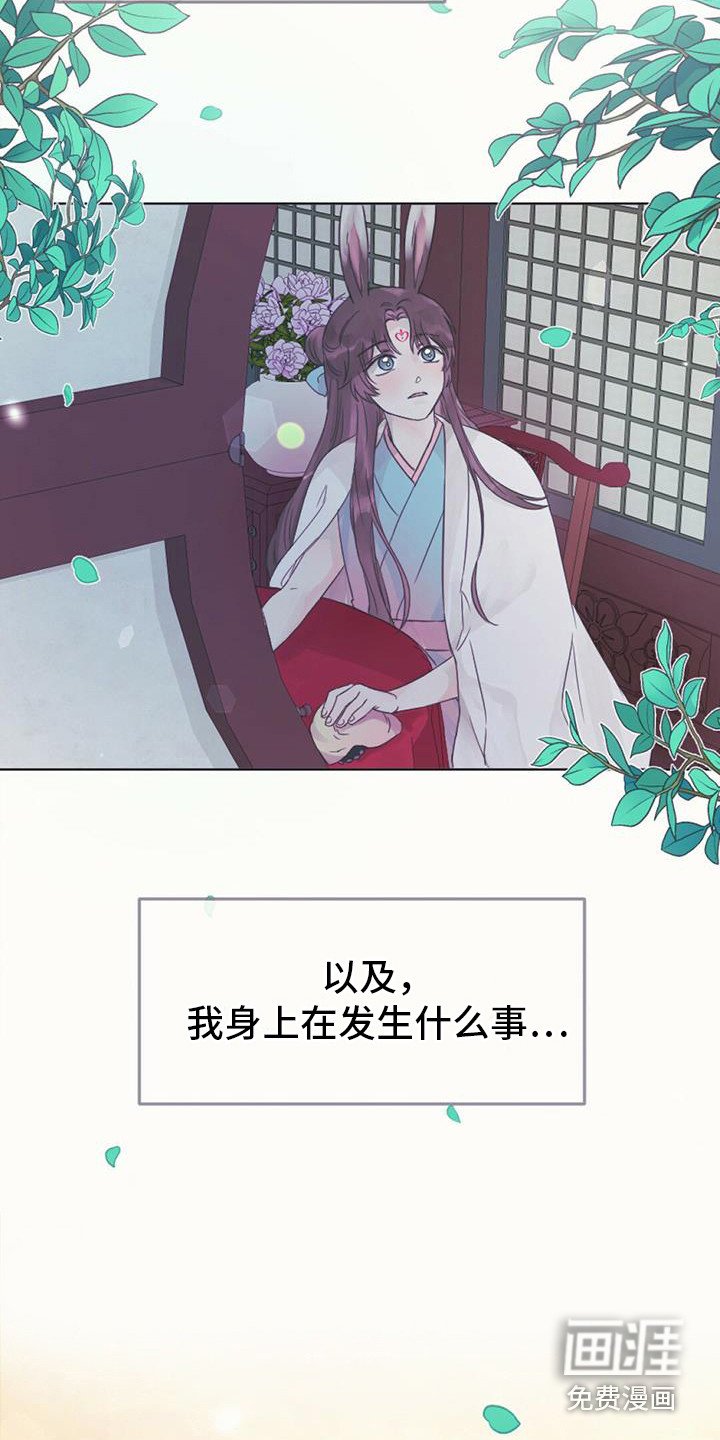 第21章：查找资料