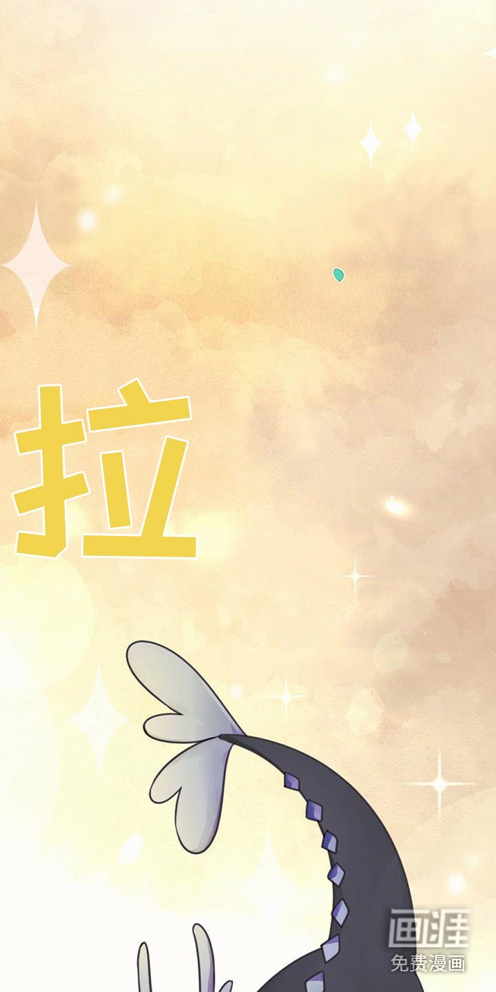 第21章：查找资料
