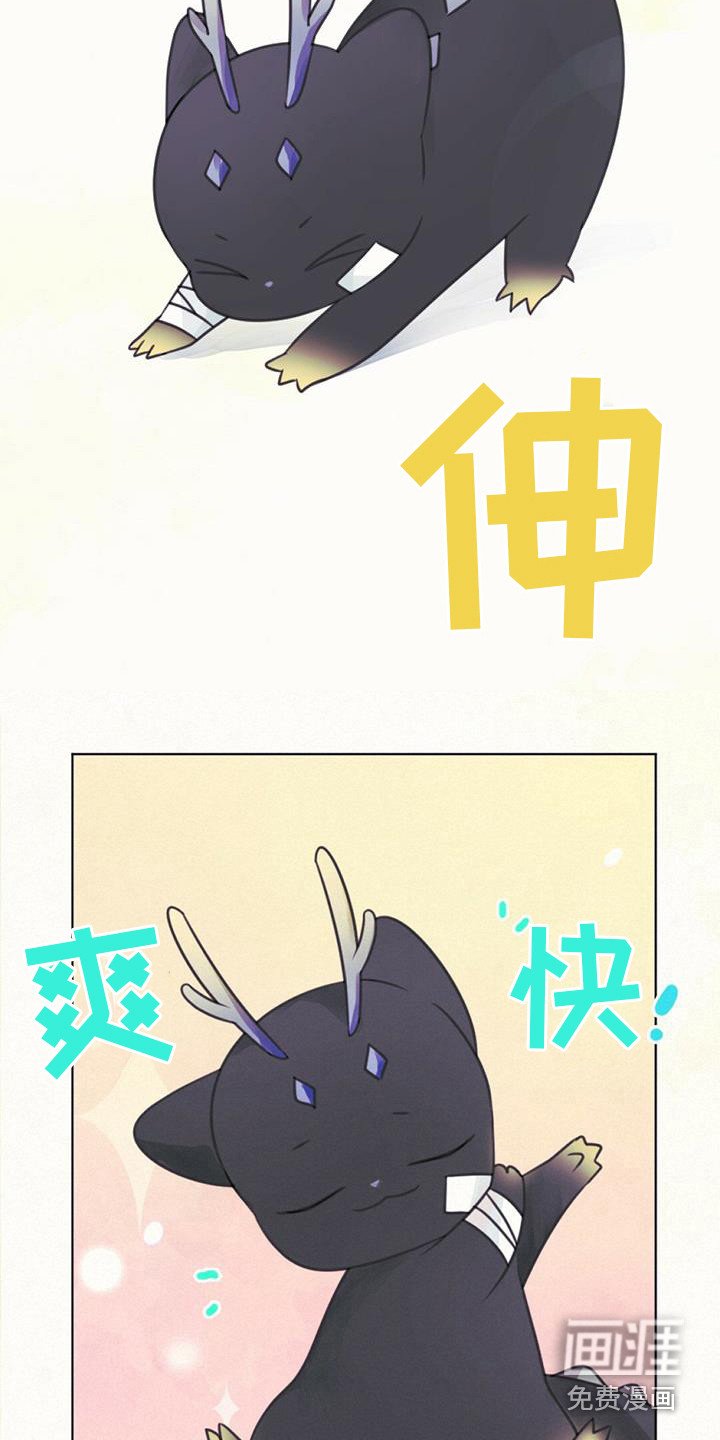 第21章：查找资料