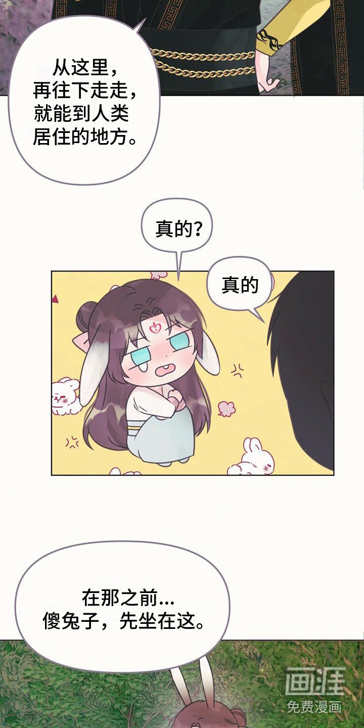 第24章：消除耳朵