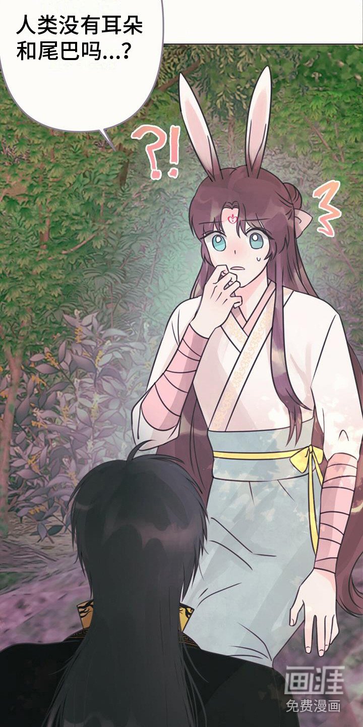 第24章：消除耳朵