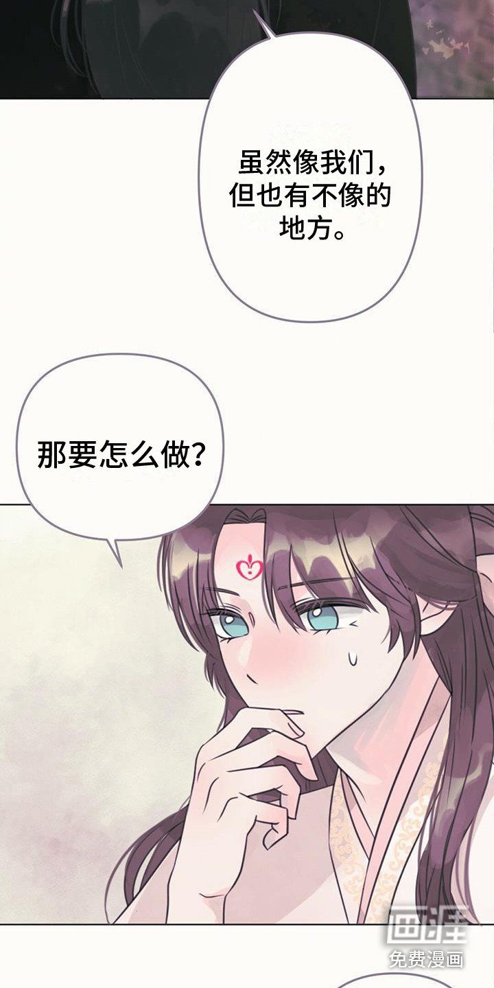 第24章：消除耳朵