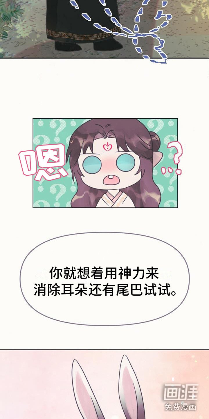 第24章：消除耳朵