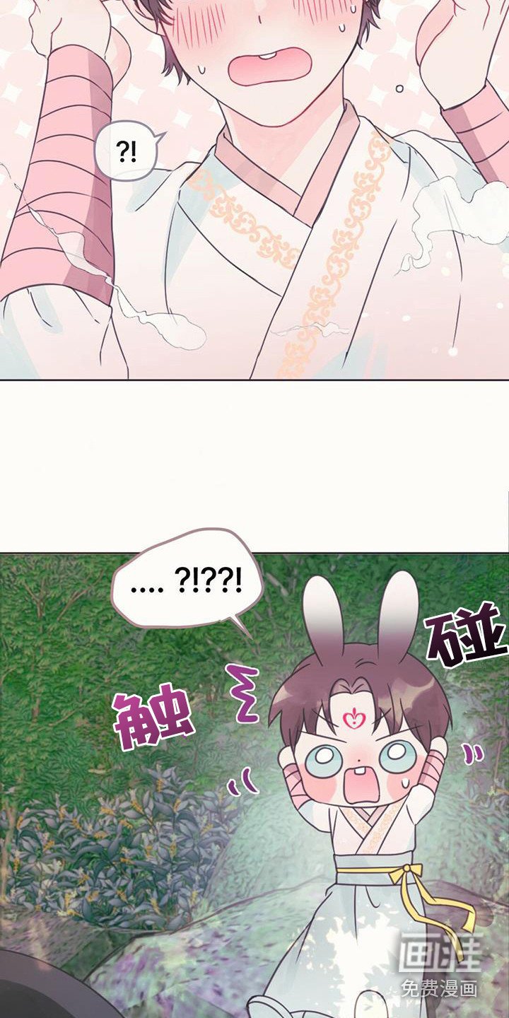 第24章：消除耳朵