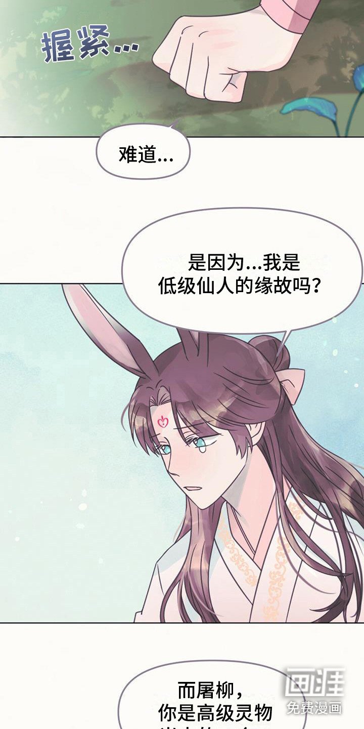 第25章：吸收力量