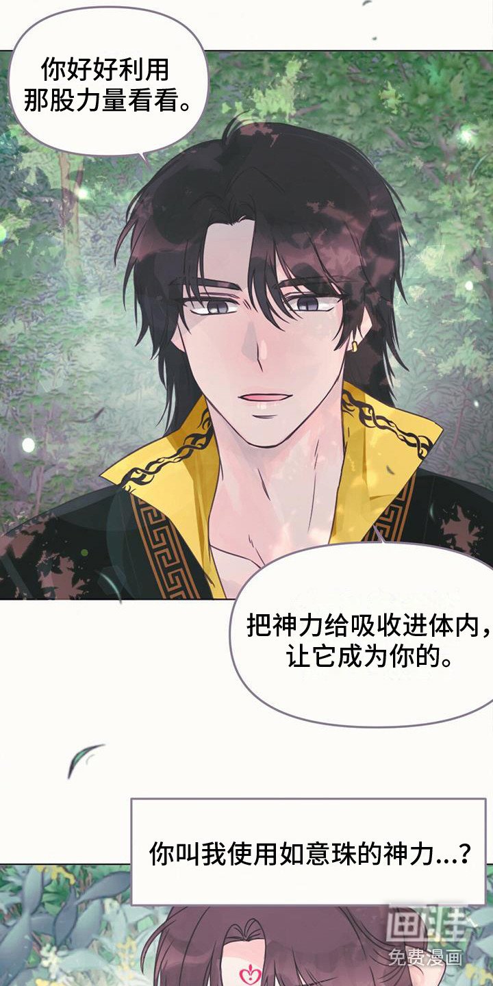 第25章：吸收力量