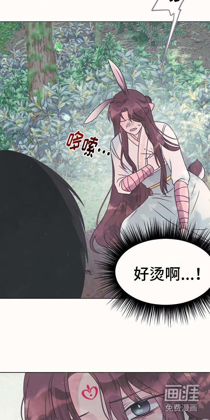 第25章：吸收力量