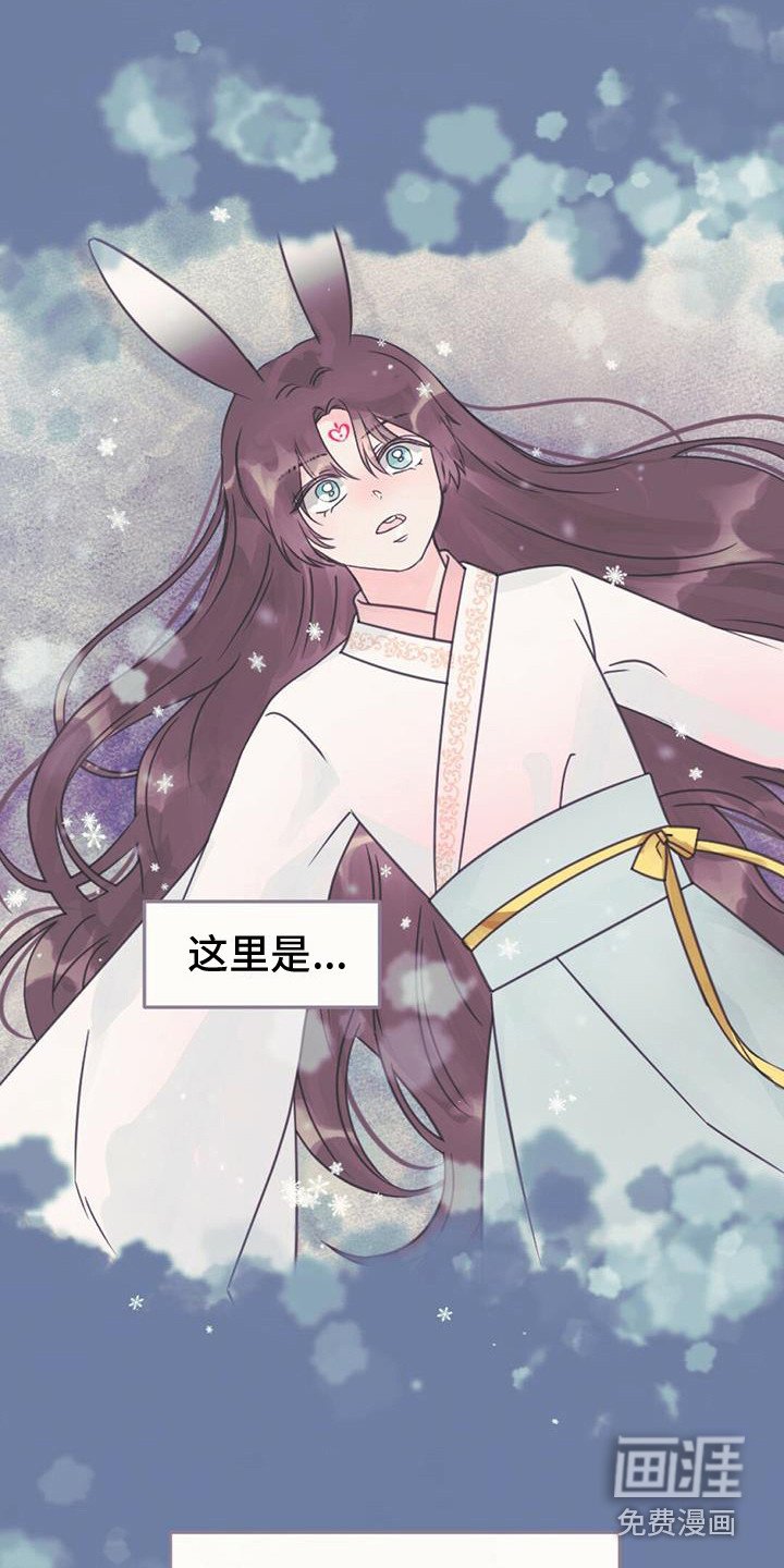 第25章：吸收力量