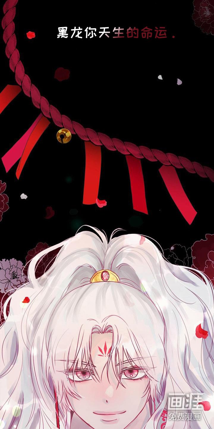 第28章：产生兴趣