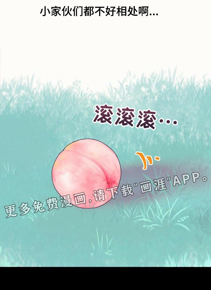 第29章：又藏起来了