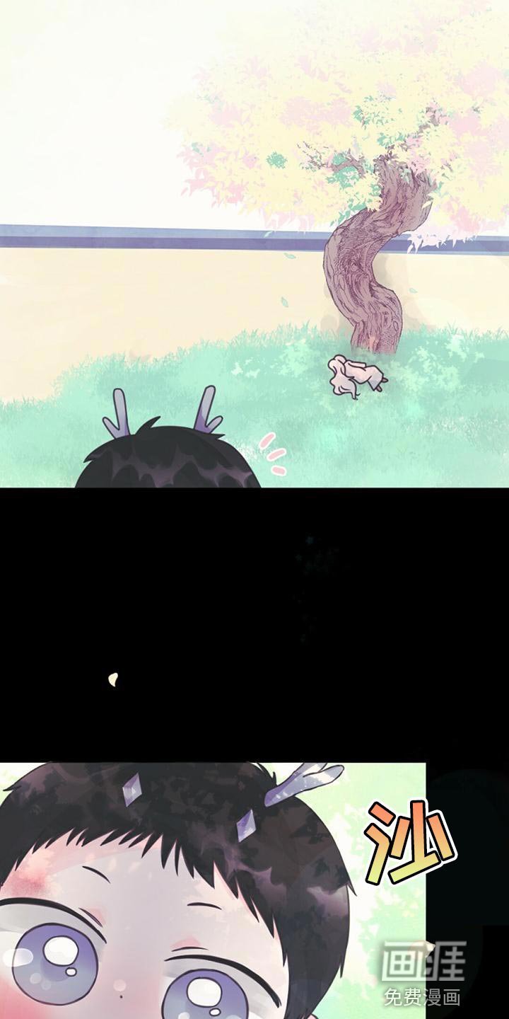 第31章：利用