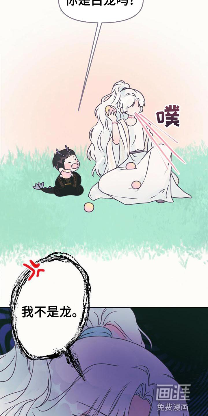 第31章：利用