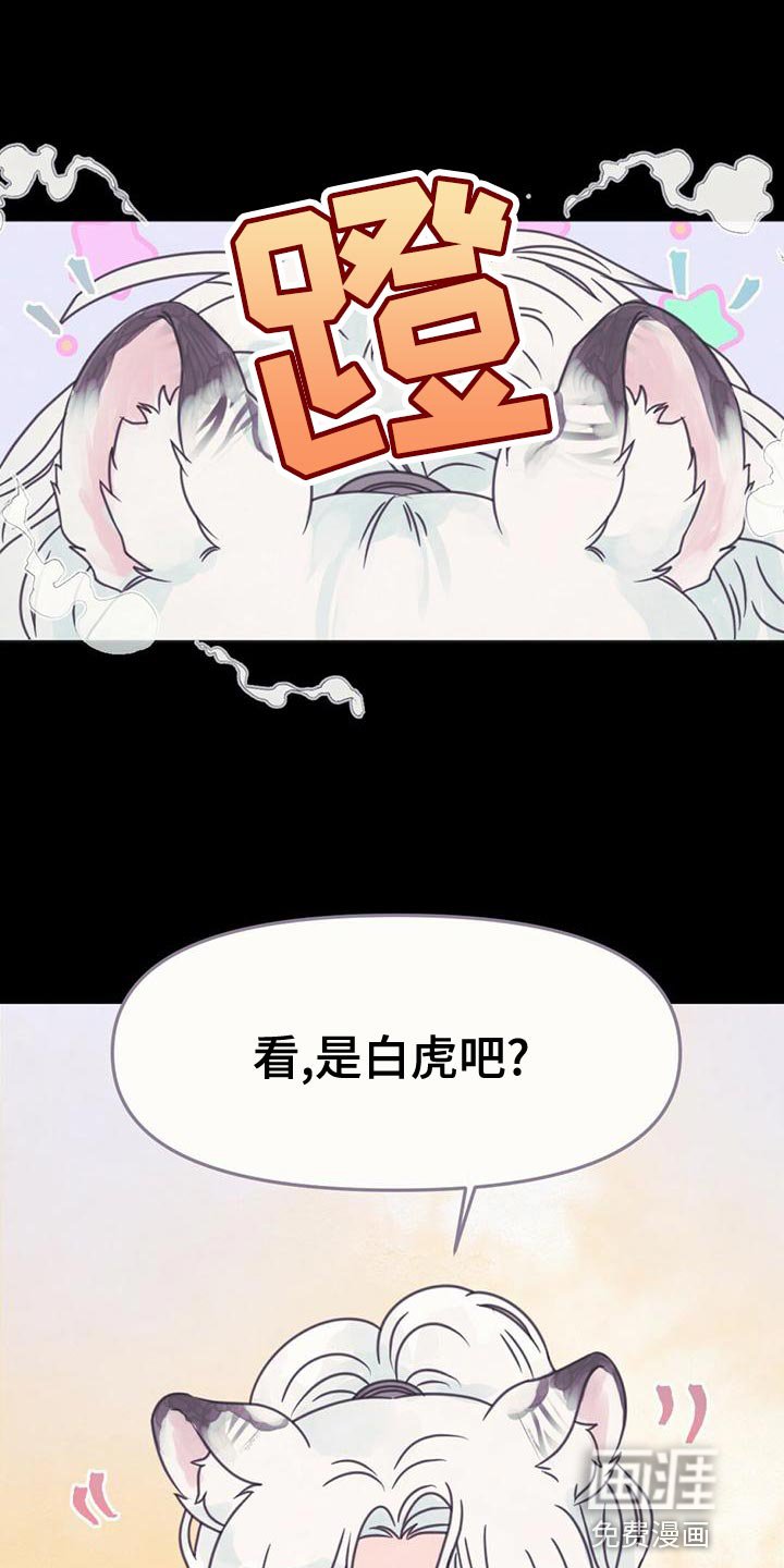 第31章：利用
