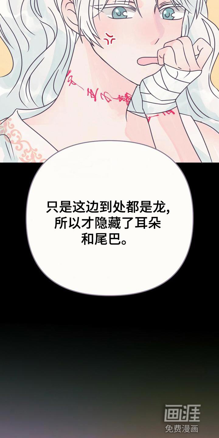 第31章：利用