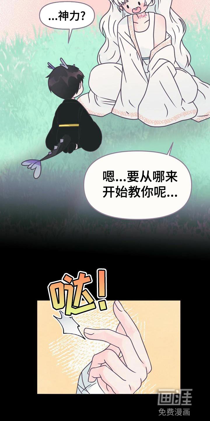 第32章：培养