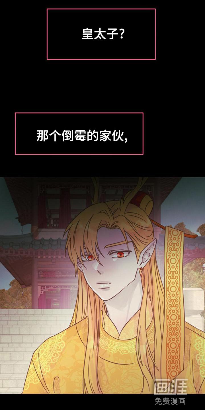 第35章：去人界玩吧