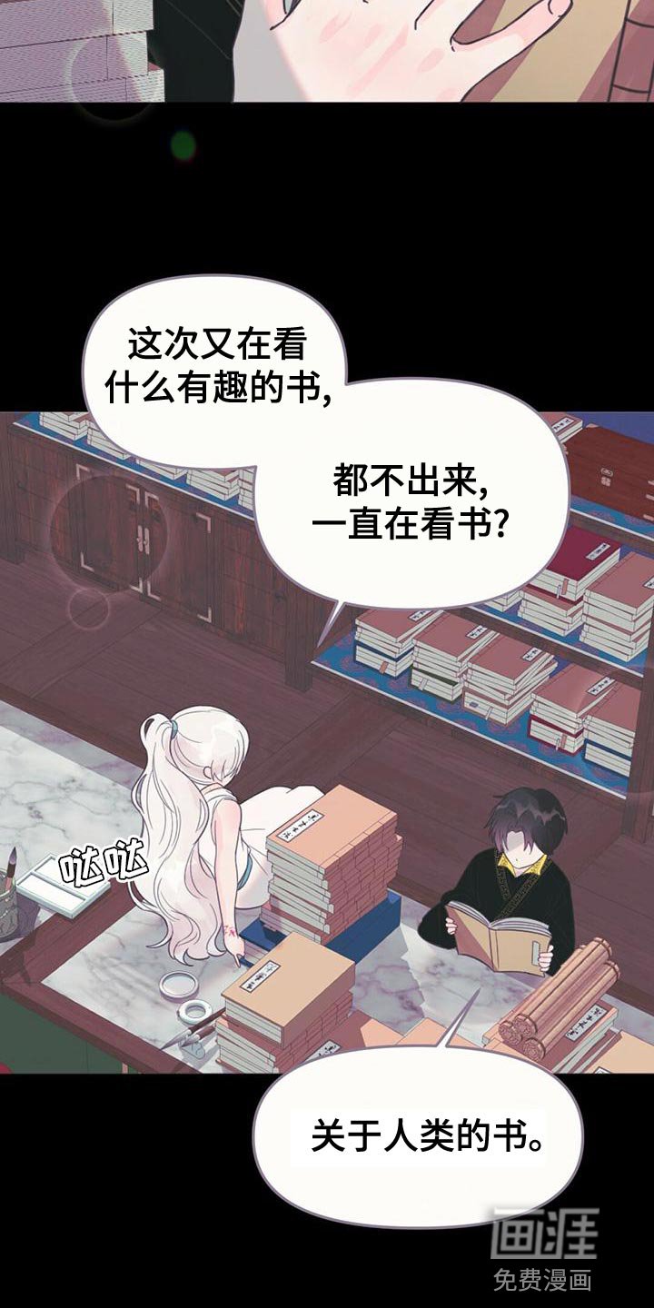 第35章：去人界玩吧
