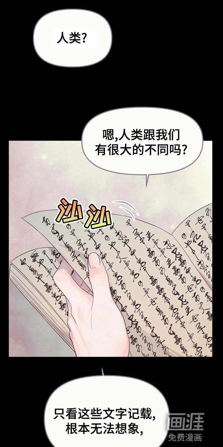 第35章：去人界玩吧