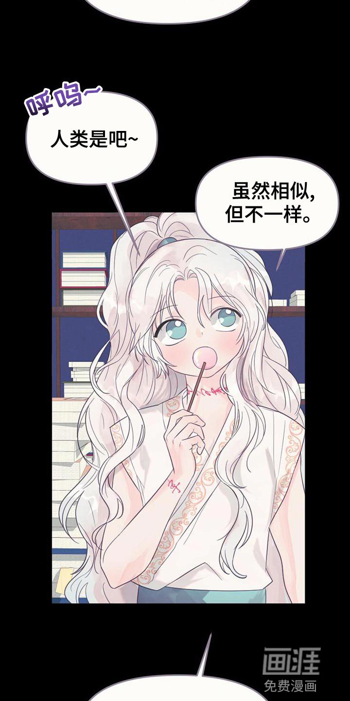 第35章：去人界玩吧