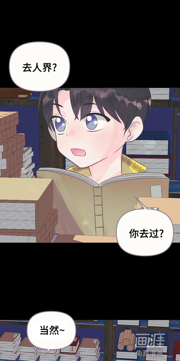 第36章：龙的国家