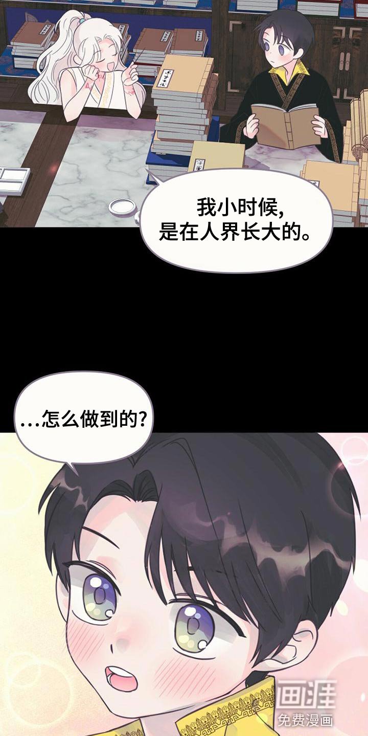 第36章：龙的国家